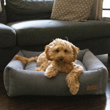 Siena Quilted Bolster Pet Bed